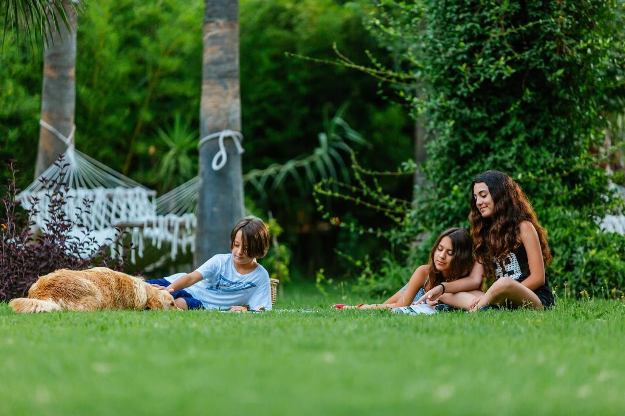 Olympos Lodge Çıralı Eksteriør billede