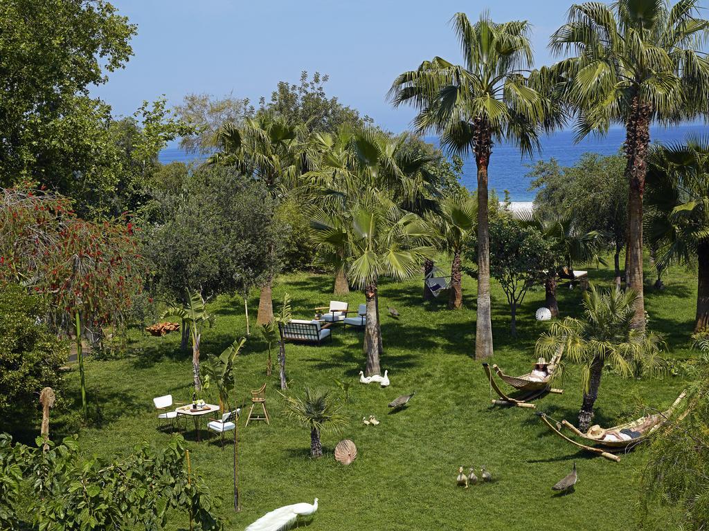Olympos Lodge Çıralı Eksteriør billede