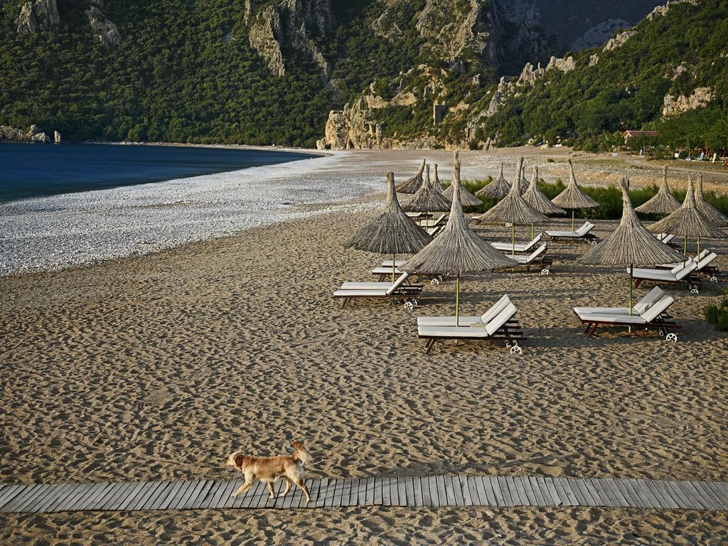 Olympos Lodge Çıralı Eksteriør billede
