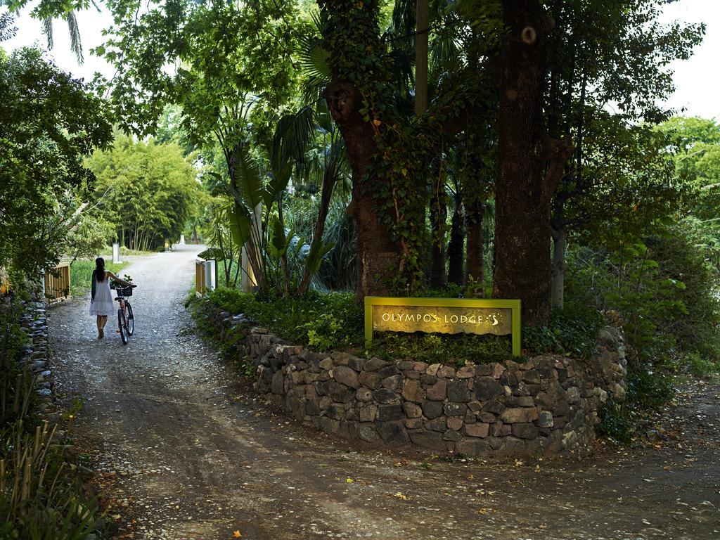 Olympos Lodge Çıralı Eksteriør billede